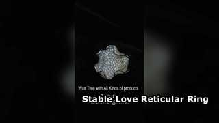 Reticulaire zilveren CZ-ring voor stabiele liefde