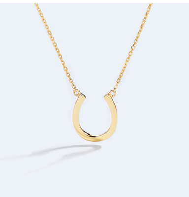 Hoefijzer18k Gouden Diamond Necklace Extender Chain 45cm