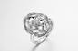 „Dubbele Bloem van Liefde“ 925 Ringen Pinky Promise Ring van Sterling Silver CZ