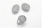 De Oorringen van Birthstone „Ⅰvan schildnagels“ 925 Zilveren Beschermende de Nageloorringen van CZ